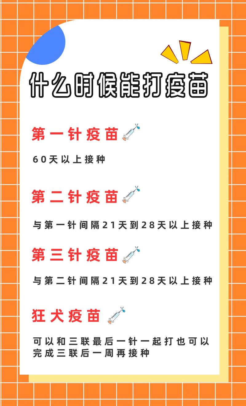 猫咪要不要打疫苗,小猫咪打疫苗多少钱一针?-第5张图片-后鲨宠物 猫咪要不要打疫苗,小猫咪打疫苗多少钱一针?-第5张图片-后鲨宠物