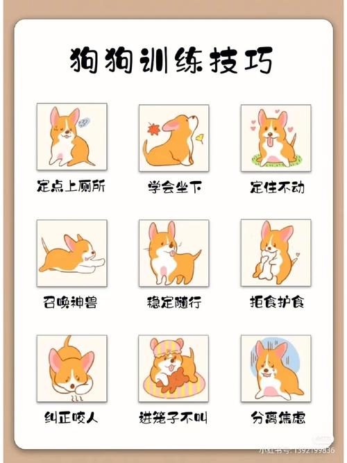 狗狗叫怎么训练_狗狗叫唤怎么训练-第3张图片-后鲨宠物 狗狗叫怎么训练_狗狗叫唤怎么训练-第3张图片-后鲨宠物