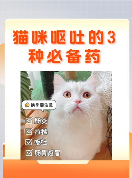  猫咪呕吐吃什么药，猫儿呕吐用什么药-第2张图片-后鲨宠物