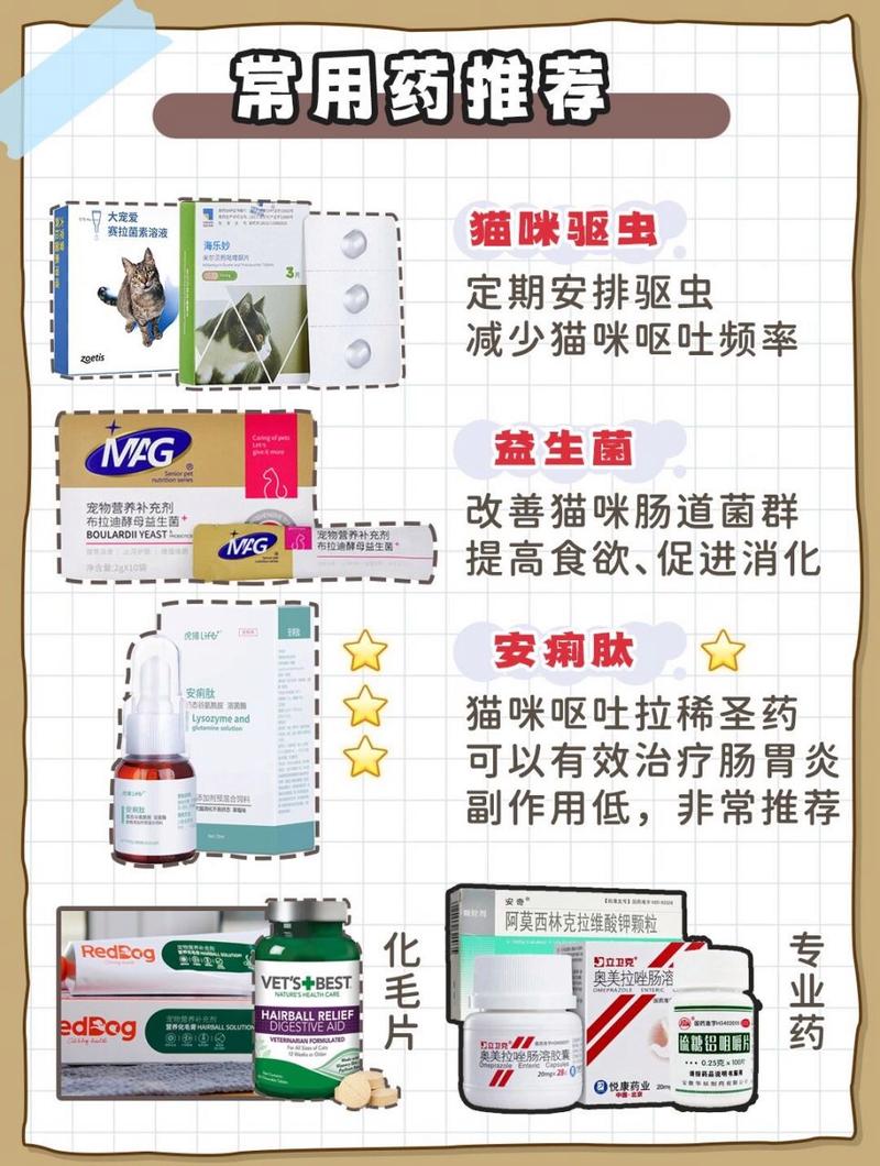  猫咪呕吐吃什么药，猫儿呕吐用什么药-第4张图片-后鲨宠物
