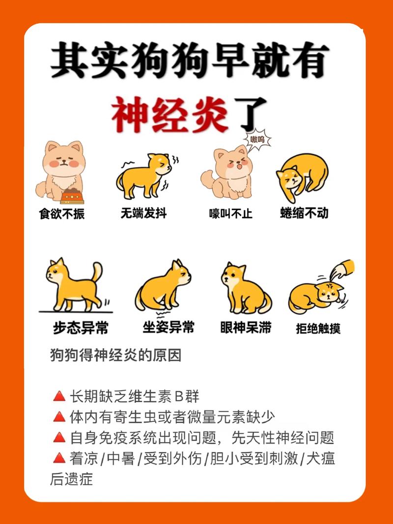 狗狗急性神经炎的症状_狗狗急性神经炎的症状图片-第5张图片-后鲨宠物 狗狗急性神经炎的症状_狗狗急性神经炎的症状图片-第5张图片-后鲨宠物