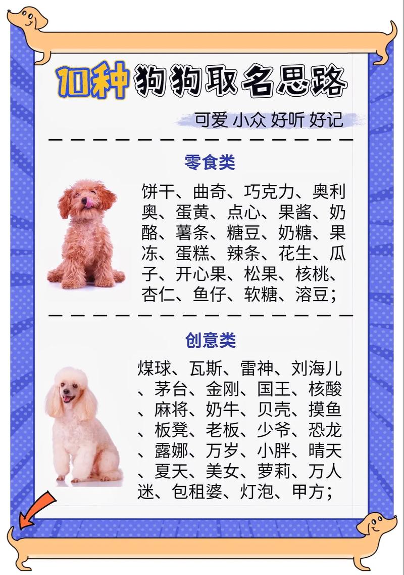 好听的狗狗名字,好听的狗狗名字女生-第5张图片-后鲨宠物 好听的狗狗名字,好听的狗狗名字女生-第5张图片-后鲨宠物