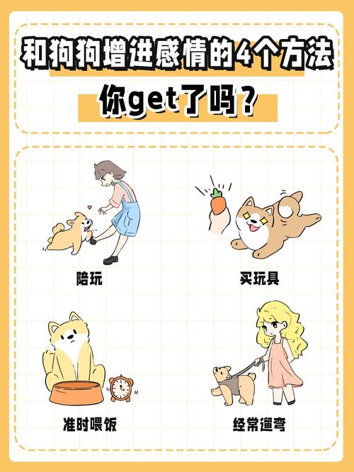 如何和狗狗培养感情,如何跟狗狗快速培养感情-第5张图片-后鲨宠物 如何和狗狗培养感情,如何跟狗狗快速培养感情-第5张图片-后鲨宠物