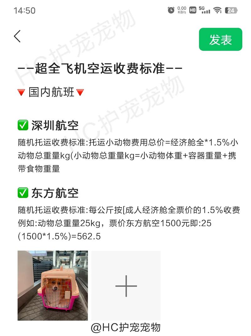 猫咪空运费大概多少钱_猫咪空运一般需要多少钱