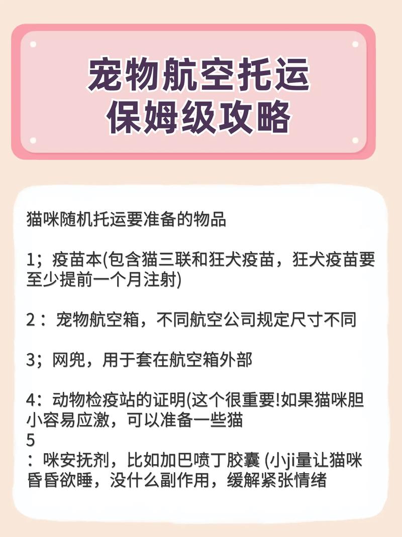 猫咪空运费大概多少钱_猫咪空运一般需要多少钱-第2张图片-后鲨宠物 猫咪空运费大概多少钱_猫咪空运一般需要多少钱-第2张图片-后鲨宠物
