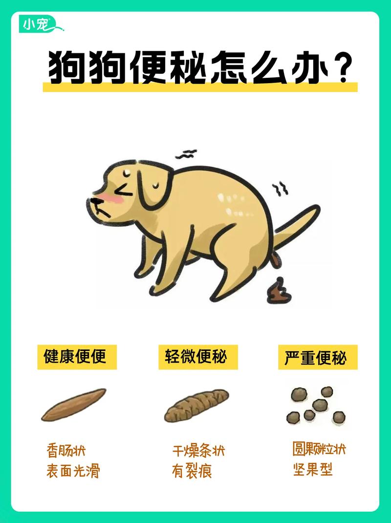 狗狗便秘怎么办，狗狗便秘怎么办还一直趴着没力气？-第2张图片-后鲨宠物