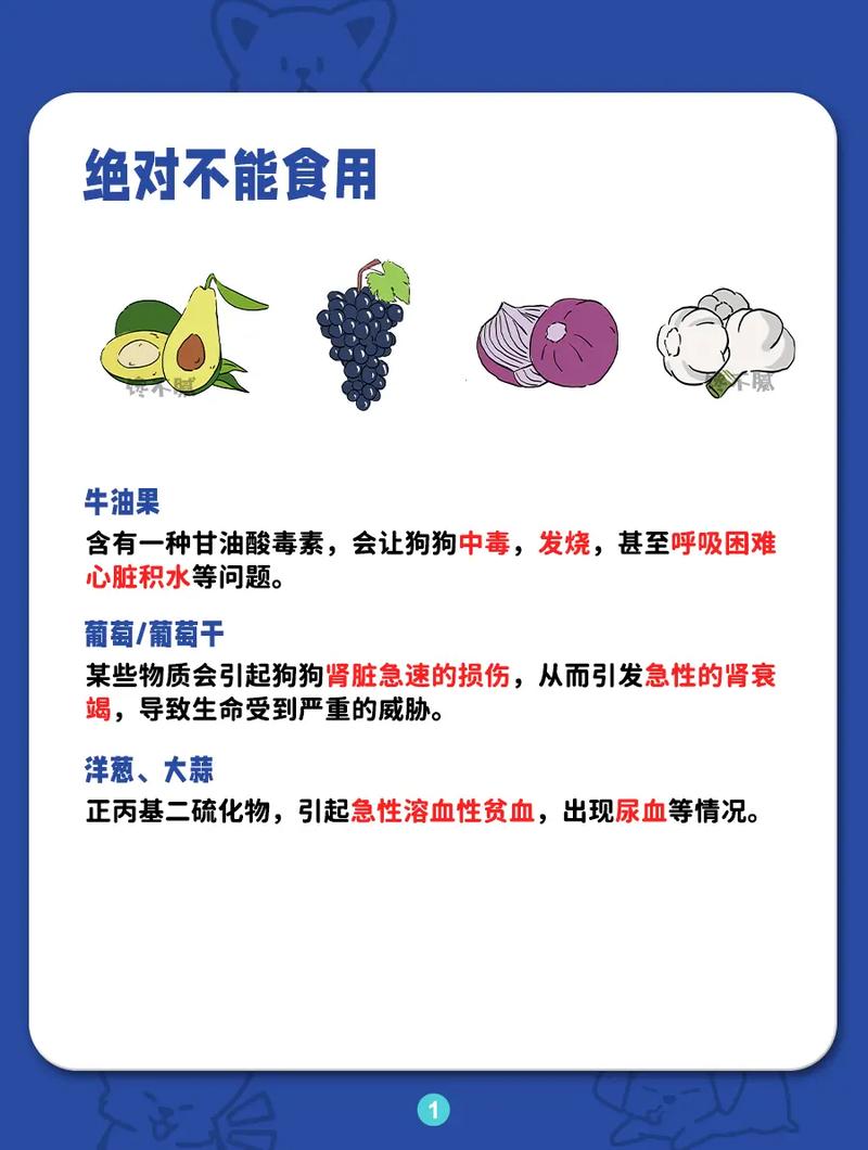 狗狗到底能不能吃蛋白,狗狗能吃蛋白吗?-第5张图片-后鲨宠物 狗狗到底能不能吃蛋白,狗狗能吃蛋白吗?-第5张图片-后鲨宠物