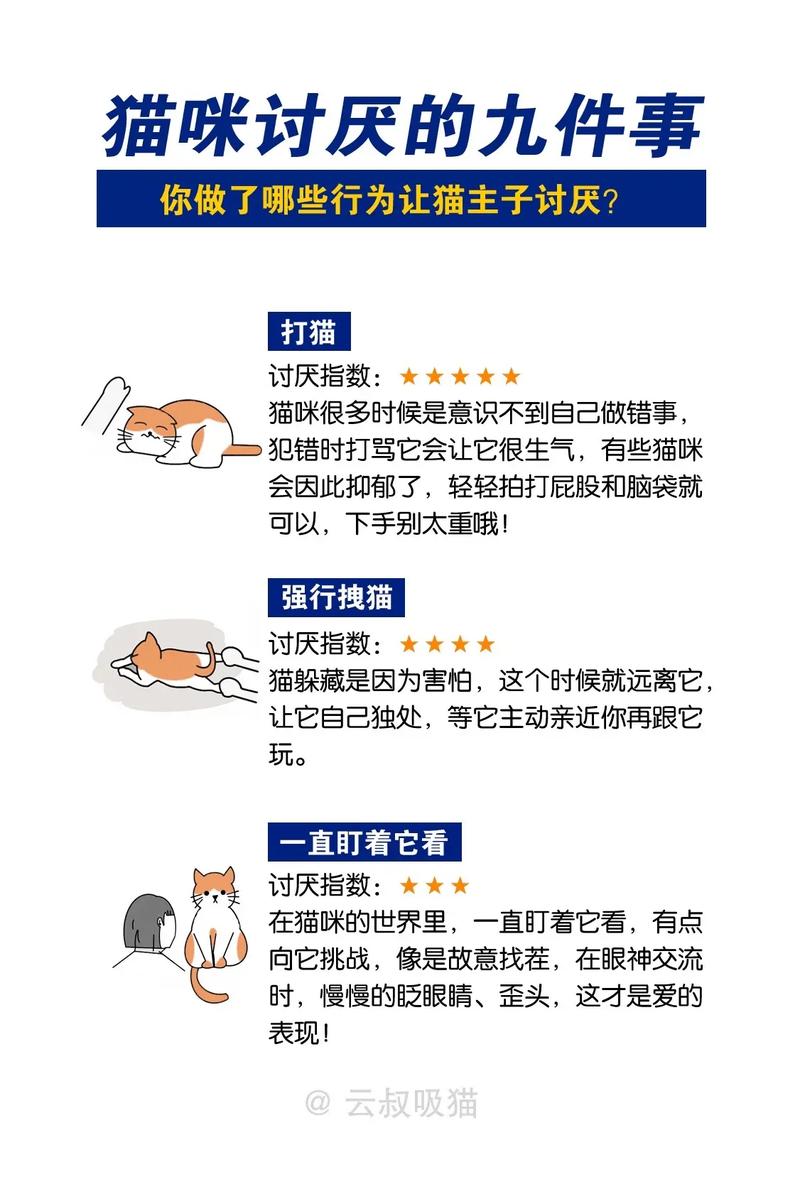  猫咪最讨厌什么，猫咪最讨厌什么声音-第2张图片-后鲨宠物