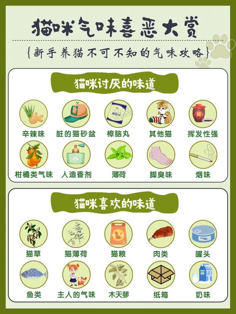  猫咪最讨厌什么，猫咪最讨厌什么声音-第5张图片-后鲨宠物