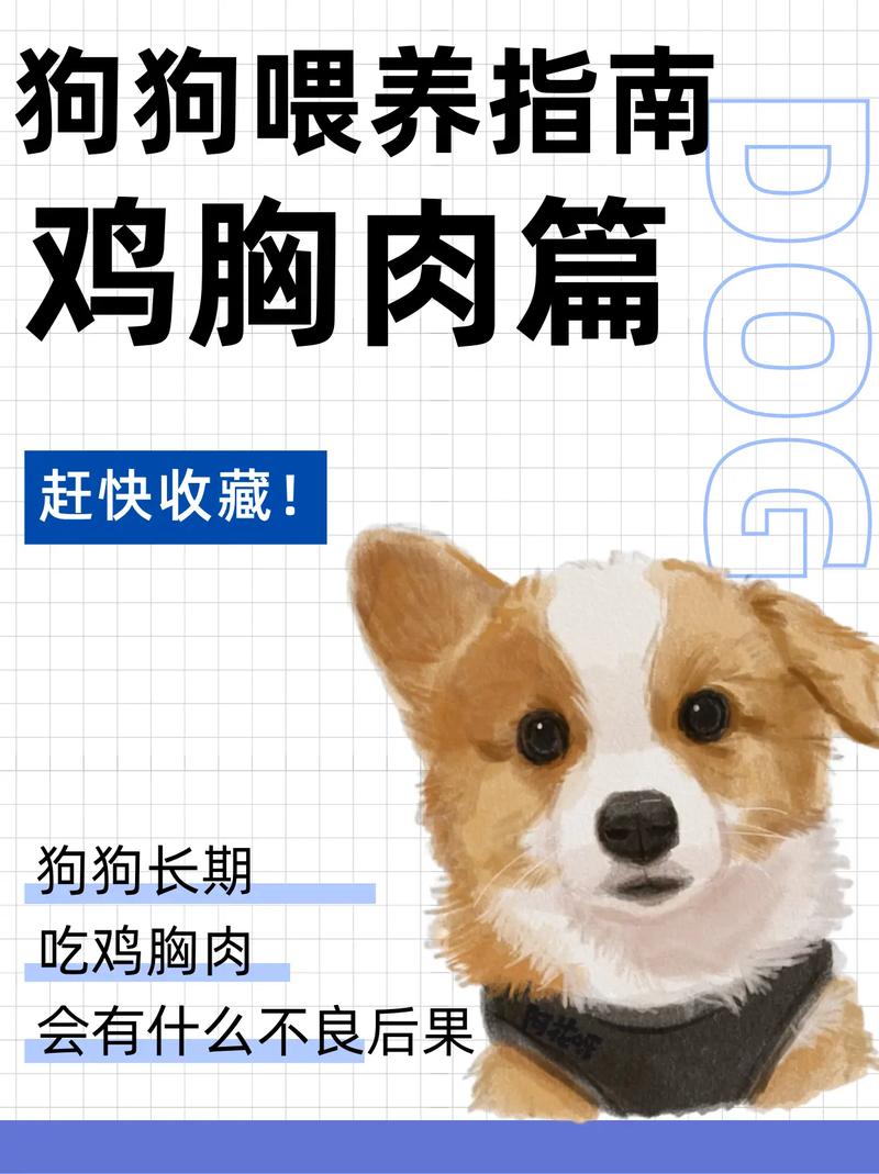 狗狗吃什么肉比较好，狗狗吃什么肉比较好最有营养？