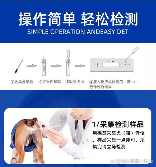 怎么检查狗狗有没有弓形虫_怎么能看出狗狗有没有弓形虫