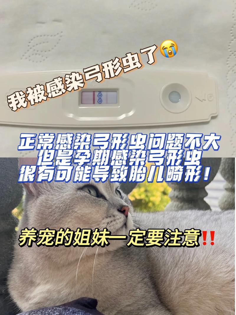 怎么检查狗狗有没有弓形虫_怎么能看出狗狗有没有弓形虫-第3张图片-后鲨宠物 怎么检查狗狗有没有弓形虫_怎么能看出狗狗有没有弓形虫-第3张图片-后鲨宠物