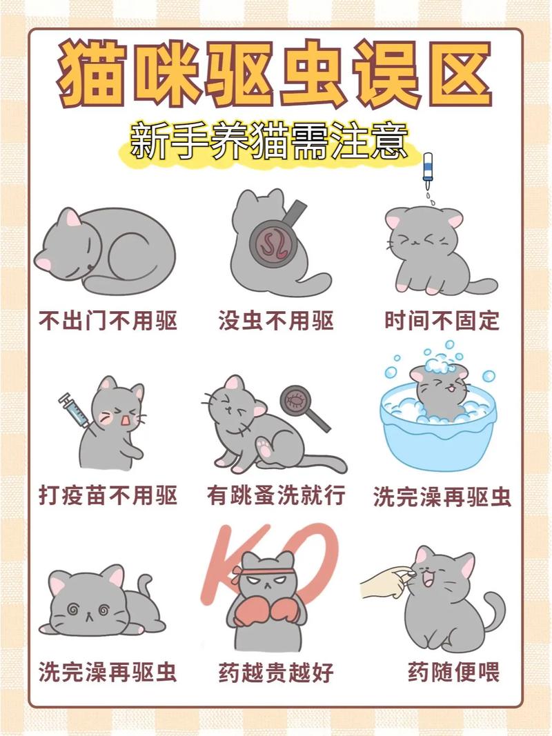 猫咪多长时间驱一次虫,猫咪多长时间驱一次虫合适?-第2张图片-后鲨宠物 猫咪多长时间驱一次虫,猫咪多长时间驱一次虫合适?-第2张图片-后鲨宠物