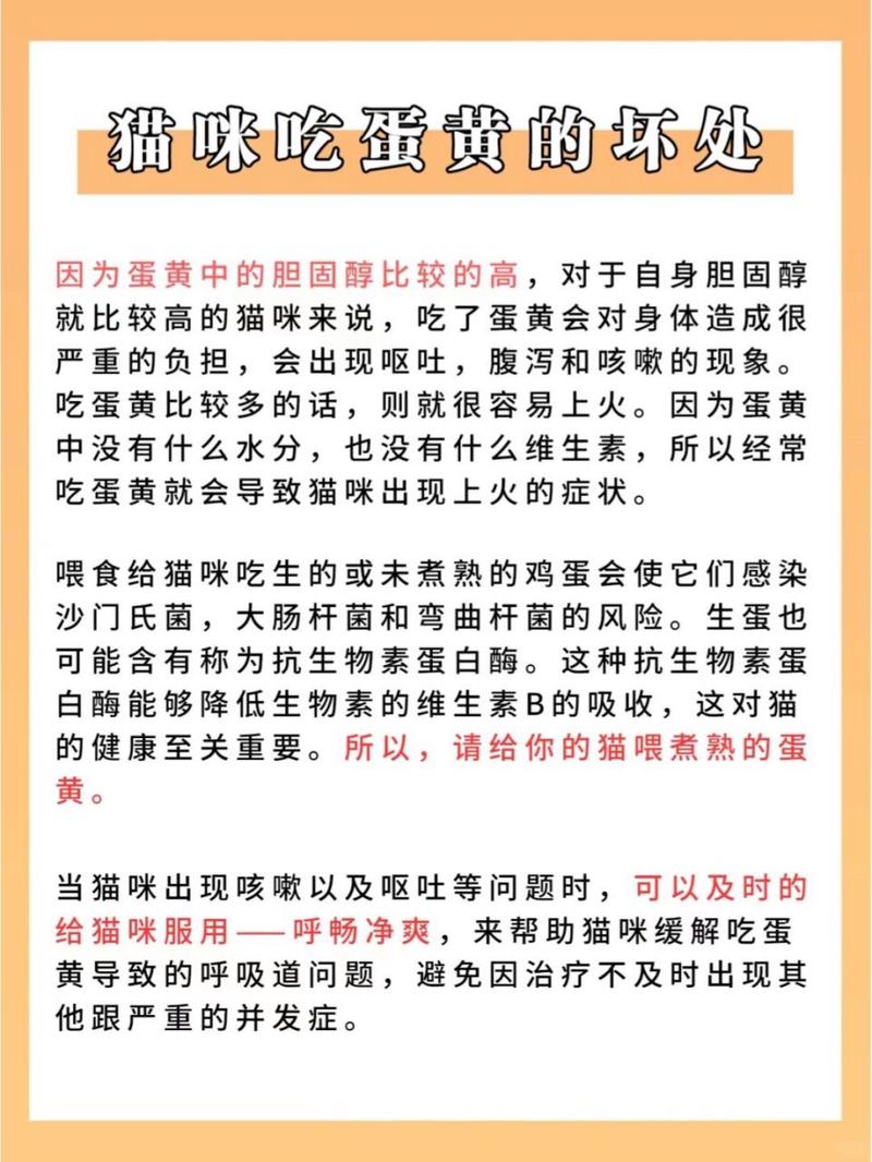 猫咪吃蛋黄可以化毛吗,猫吃蛋黄是否就不用吃化毛膏了?-第3张图片-后鲨宠物 猫咪吃蛋黄可以化毛吗,猫吃蛋黄是否就不用吃化毛膏了?-第3张图片-后鲨宠物