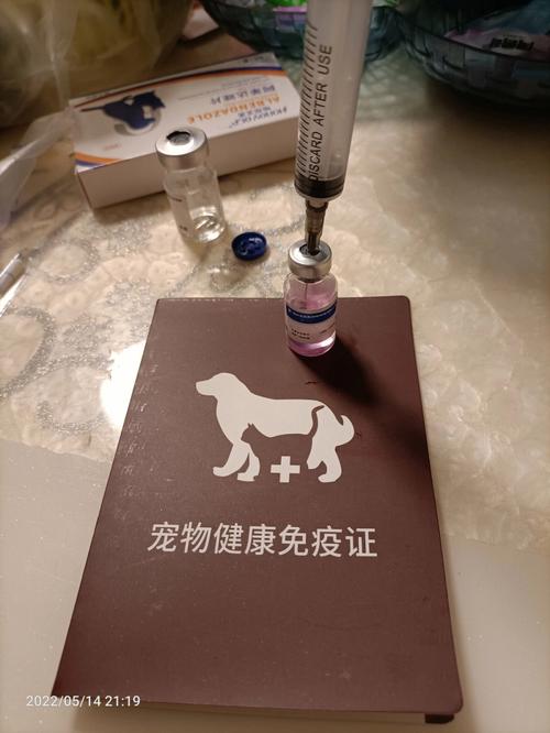 如何自己给狗狗打疫苗,怎么自己给狗狗注射疫苗?-第2张图片-后鲨宠物 如何自己给狗狗打疫苗,怎么自己给狗狗注射疫苗?-第2张图片-后鲨宠物