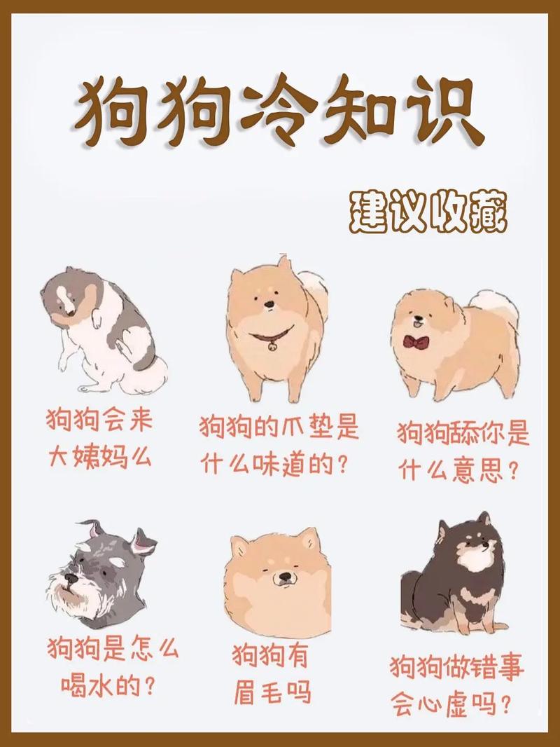  狗狗每天6点就叫怎么治，小狗每天早上6点半就叫怎么办?-第4张图片-后鲨宠物