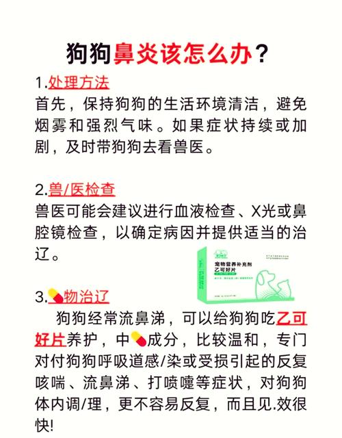 狗狗流鼻涕怎么回事_狗打喷嚏流黄鼻涕怎么回事-第4张图片-后鲨宠物