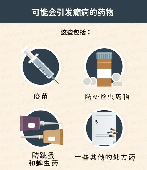 狗狗癫疯怎么控制_狗狗癫疯怎么控制不发作-第4张图片-后鲨宠物 狗狗癫疯怎么控制_狗狗癫疯怎么控制不发作-第4张图片-后鲨宠物