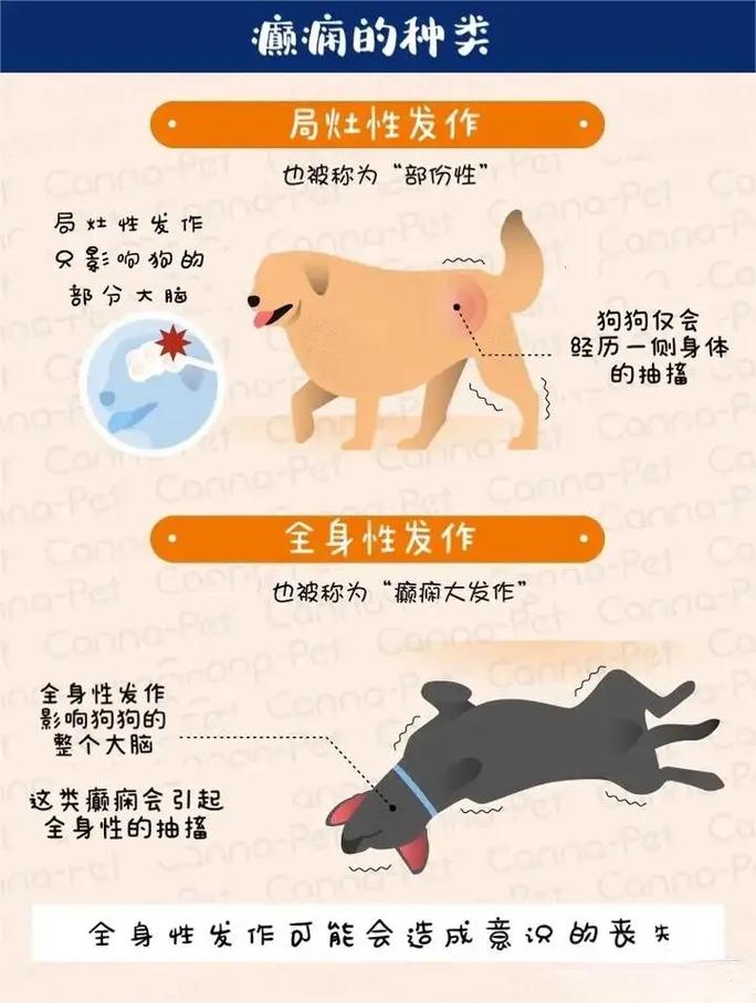 狗狗癫疯怎么控制_狗狗癫疯怎么控制不发作-第6张图片-后鲨宠物 狗狗癫疯怎么控制_狗狗癫疯怎么控制不发作-第6张图片-后鲨宠物