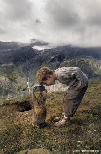 狗狗会主动亲近哪种人,狗狗会亲主人吗-第3张图片-后鲨宠物 狗狗会主动亲近哪种人,狗狗会亲主人吗-第3张图片-后鲨宠物