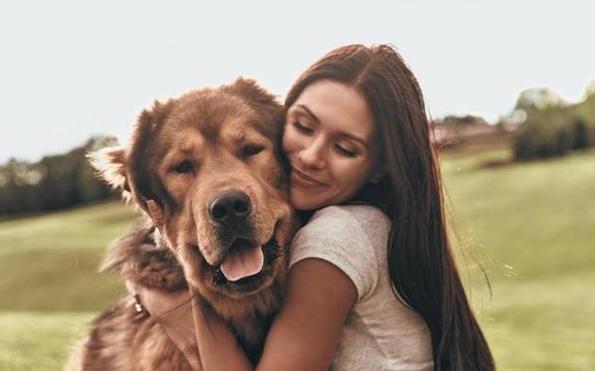 狗狗会主动亲近哪种人,狗狗会亲主人吗-第6张图片-后鲨宠物 狗狗会主动亲近哪种人,狗狗会亲主人吗-第6张图片-后鲨宠物