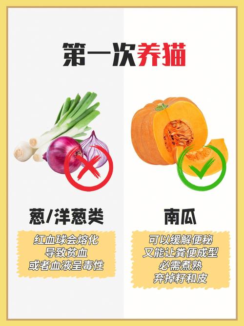 适合猫咪吃的蔬菜,适合猫咪吃的蔬菜有哪些-第5张图片-后鲨宠物 适合猫咪吃的蔬菜,适合猫咪吃的蔬菜有哪些-第5张图片-后鲨宠物