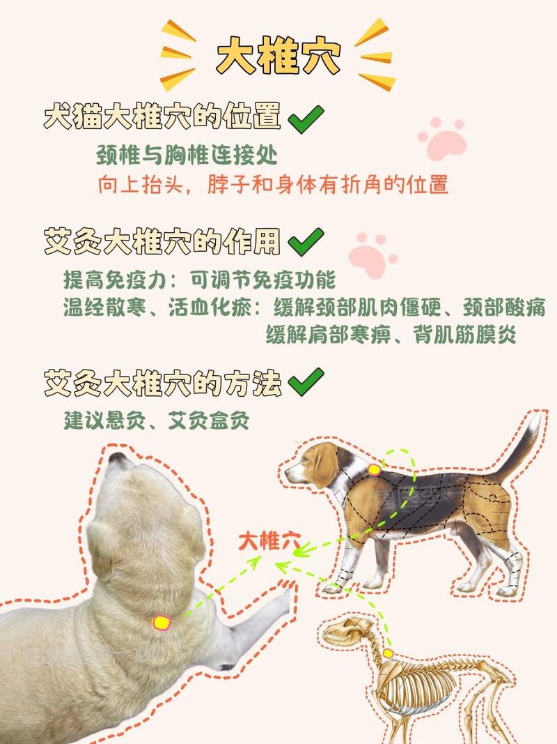 艾灸对狗狗有无影响,艾灸对狗狗有无影响呢-第5张图片-后鲨宠物 艾灸对狗狗有无影响,艾灸对狗狗有无影响呢-第5张图片-后鲨宠物