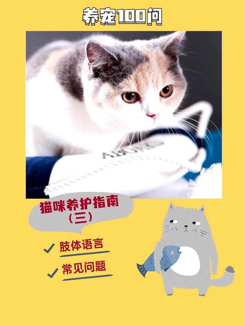 猫咪体温怎么测,猫咪体温怎么测准确?-第1张图片-后鲨宠物 猫咪体温怎么测,猫咪体温怎么测准确?-第1张图片-后鲨宠物