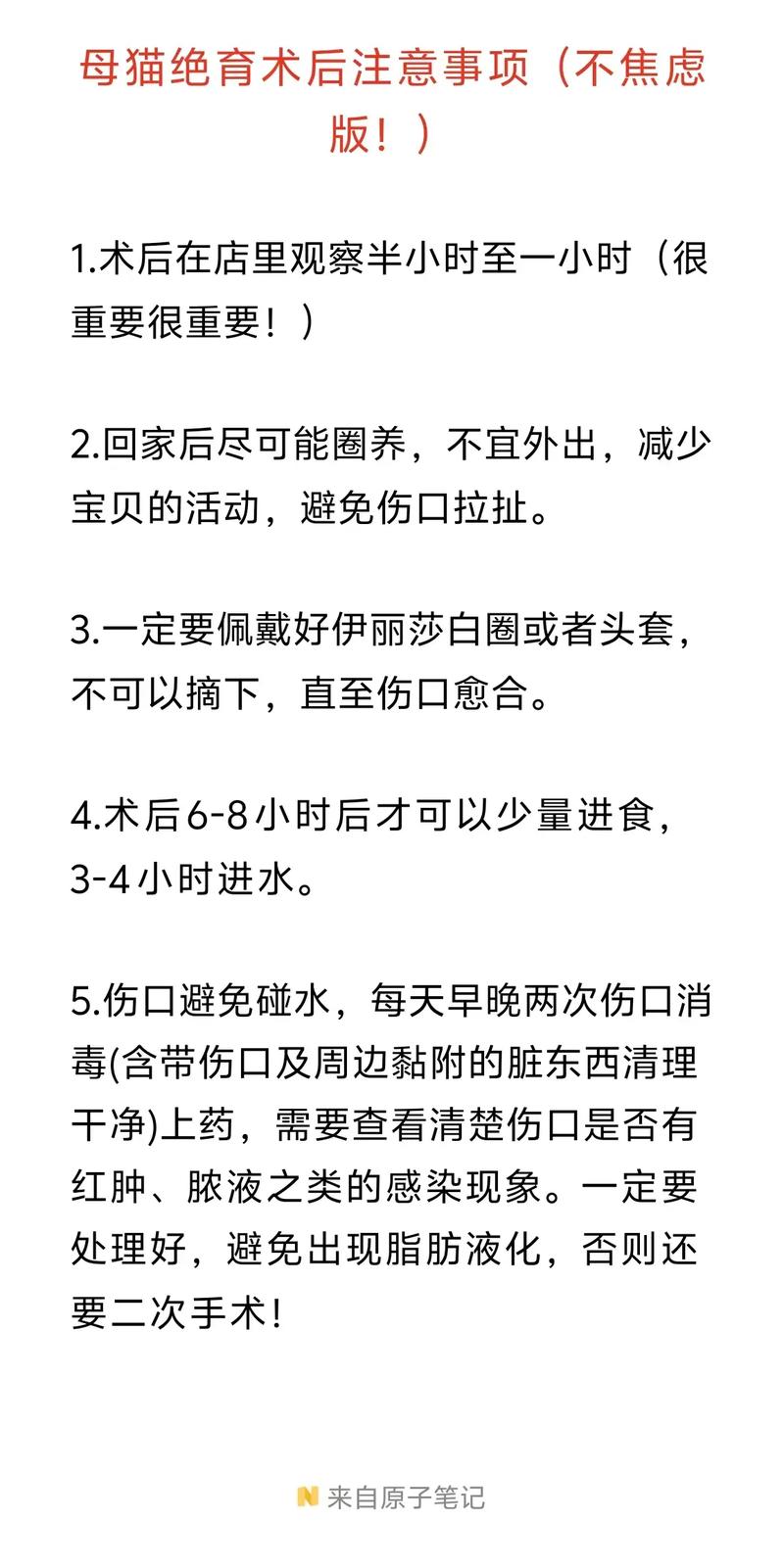 猫咪绝育术后护理,猫咪绝育术后护理多久?-第2张图片-后鲨宠物 猫咪绝育术后护理,猫咪绝育术后护理多久?-第2张图片-后鲨宠物