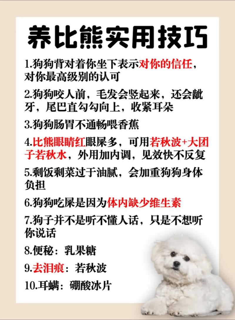 怎么取得狗狗的信任_怎么取得狗狗的信任感-第3张图片-后鲨宠物 怎么取得狗狗的信任_怎么取得狗狗的信任感-第3张图片-后鲨宠物