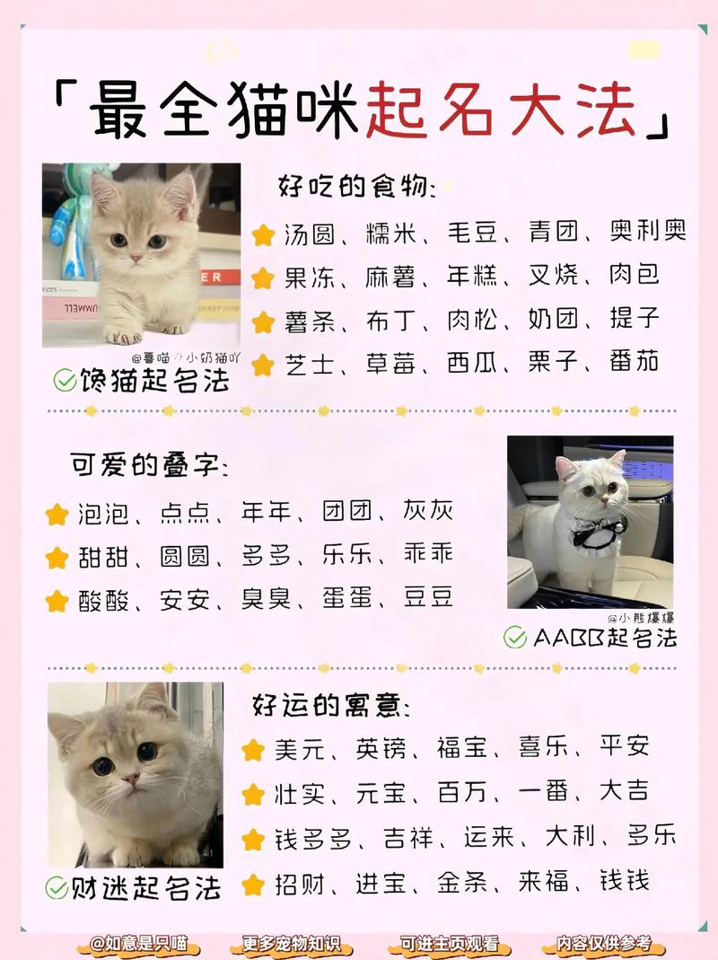 猫咪高贵洋气的名字_猫咪高贵洋气的名字带妞的名字-第6张图片-后鲨宠物 猫咪高贵洋气的名字_猫咪高贵洋气的名字带妞的名字-第6张图片-后鲨宠物