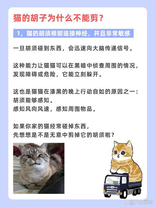 猫咪胡须根部变黑,猫咪胡须根部变黑还结痂了?-第2张图片-后鲨宠物 猫咪胡须根部变黑,猫咪胡须根部变黑还结痂了?-第2张图片-后鲨宠物