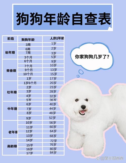 狗狗成年是几个月,狗狗成年是几个月??-第5张图片-后鲨宠物 狗狗成年是几个月,狗狗成年是几个月??-第5张图片-后鲨宠物