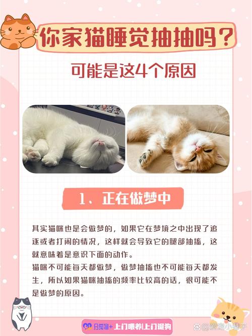 猫咪睡觉时抽搐颤抖,猫咪睡觉时抽搐颤抖正常吗?-第3张图片-后鲨宠物 猫咪睡觉时抽搐颤抖,猫咪睡觉时抽搐颤抖正常吗?-第3张图片-后鲨宠物