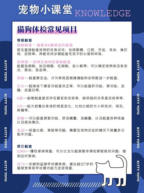 猫咪做体检大概多少钱,猫咪做体检需要多少钱-第2张图片-后鲨宠物 猫咪做体检大概多少钱,猫咪做体检需要多少钱-第2张图片-后鲨宠物