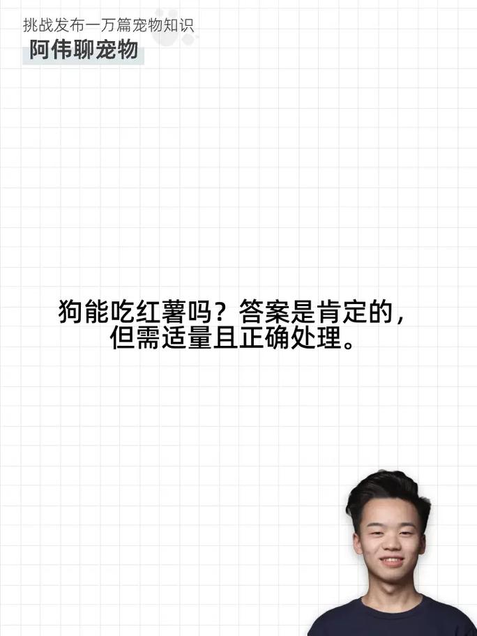 狗狗可以吃地瓜吗,狗狗可以吃地瓜吗煮熟的-第3张图片-后鲨宠物 狗狗可以吃地瓜吗,狗狗可以吃地瓜吗煮熟的-第3张图片-后鲨宠物