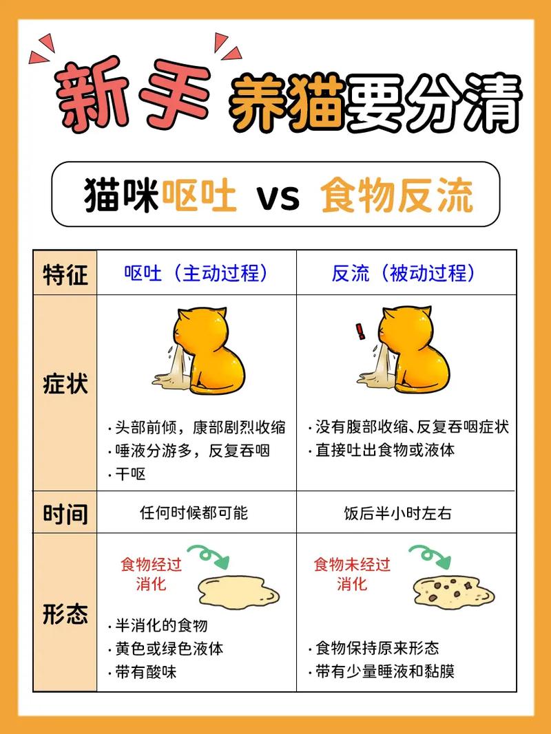 猫咪吃什么吐什么,猫咪吃什么吐什么 ,又想吃,吃了又吐?-第6张图片-后鲨宠物 猫咪吃什么吐什么,猫咪吃什么吐什么 ,又想吃,吃了又吐?-第6张图片-后鲨宠物