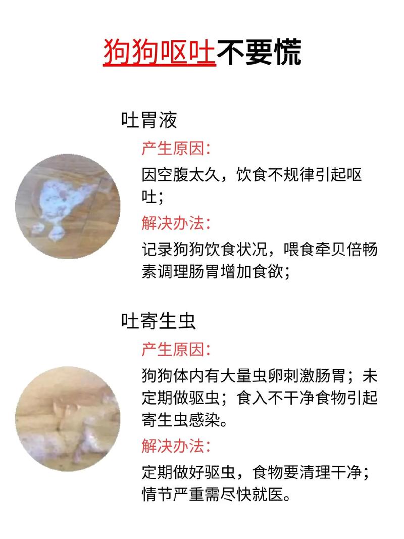 狗狗肠子堵住了怎么办_狗肠子堵住了大便不出来-第4张图片-后鲨宠物 狗狗肠子堵住了怎么办_狗肠子堵住了大便不出来-第4张图片-后鲨宠物