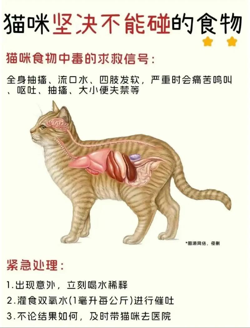 猫咪可以吃紫薯,猫咪可以吃紫薯面包吗-第3张图片-后鲨宠物 猫咪可以吃紫薯,猫咪可以吃紫薯面包吗-第3张图片-后鲨宠物