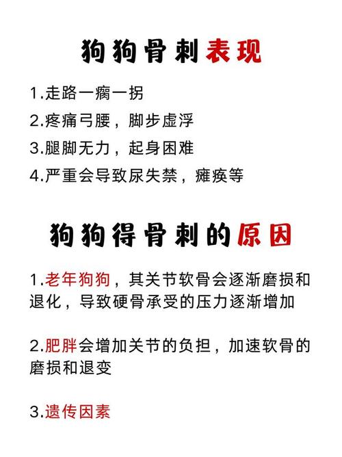 狗狗骨刺症状有哪些_狗狗骨刺症状有哪些表现-第2张图片-后鲨宠物 狗狗骨刺症状有哪些_狗狗骨刺症状有哪些表现-第2张图片-后鲨宠物