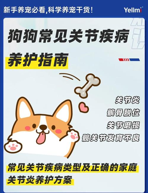 狗狗骨刺症状有哪些_狗狗骨刺症状有哪些表现