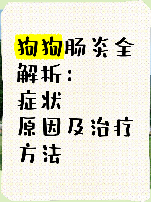 狗狗结肠炎的症状_狗狗结肠炎怎么治-第4张图片-后鲨宠物 狗狗结肠炎的症状_狗狗结肠炎怎么治-第4张图片-后鲨宠物