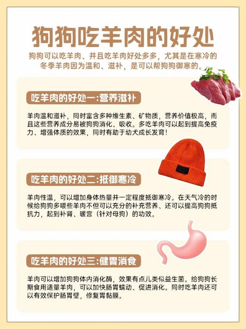 狗狗可以吃羊肉吗,泰迪狗狗可以吃羊肉吗?-第3张图片-后鲨宠物 狗狗可以吃羊肉吗,泰迪狗狗可以吃羊肉吗?-第3张图片-后鲨宠物