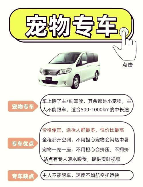 高铁能带猫咪吗_高铁能带猫咪吗放在猫包里-第6张图片-后鲨宠物 高铁能带猫咪吗_高铁能带猫咪吗放在猫包里-第6张图片-后鲨宠物