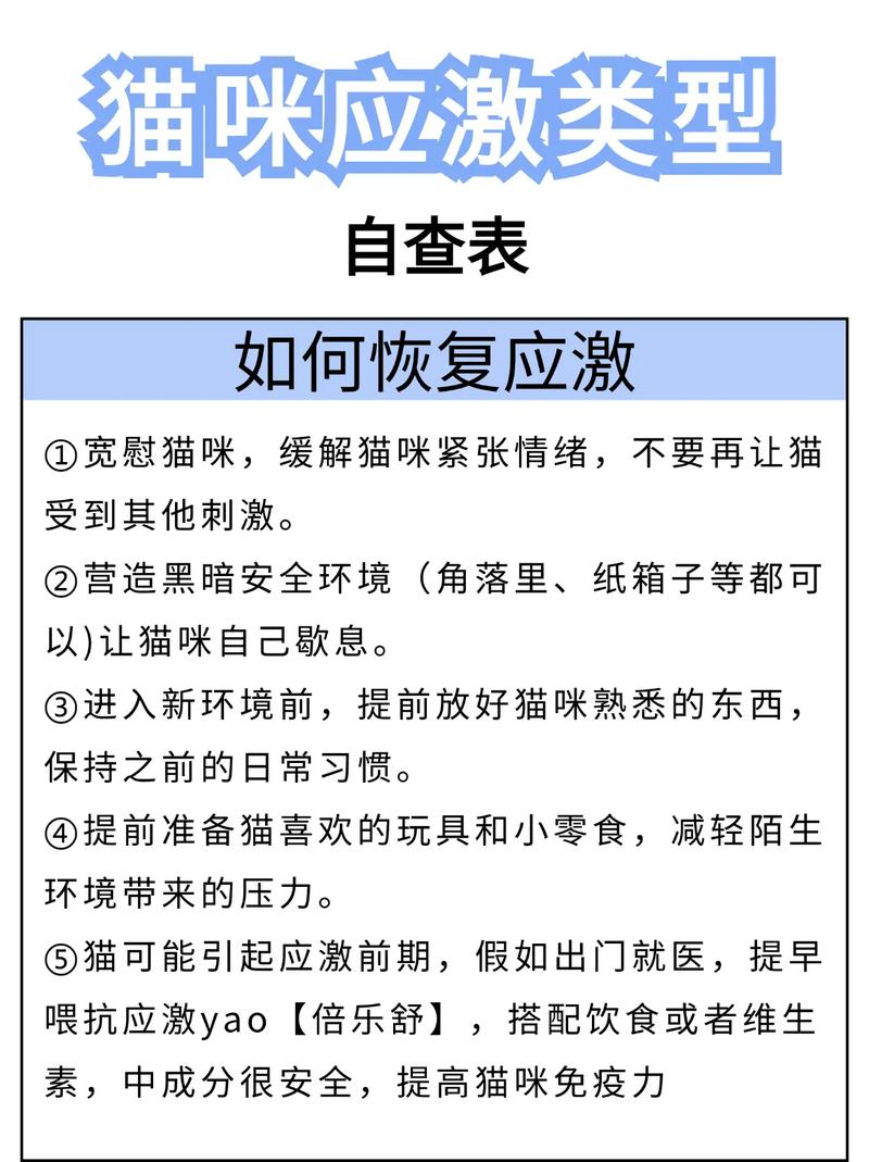  猫咪害怕怎么办，猫极度害怕