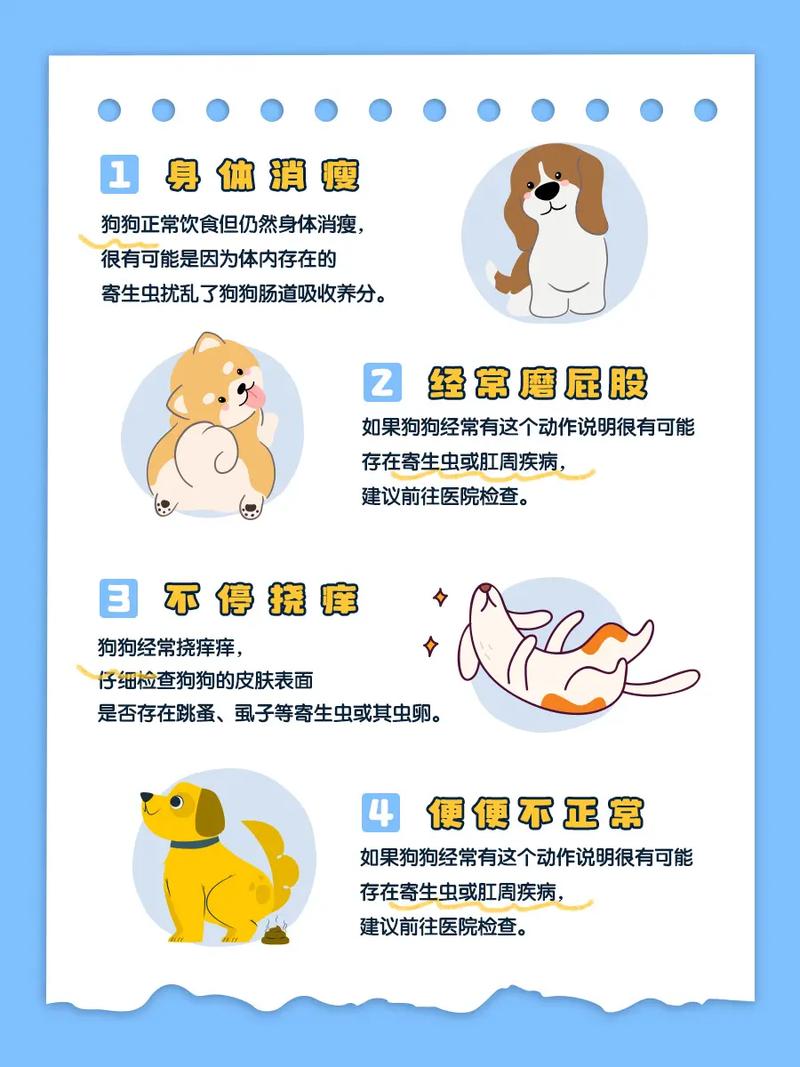 两个月的狗狗怎么驱虫_2个月的狗狗怎么驱虫-第3张图片-后鲨宠物 两个月的狗狗怎么驱虫_2个月的狗狗怎么驱虫-第3张图片-后鲨宠物