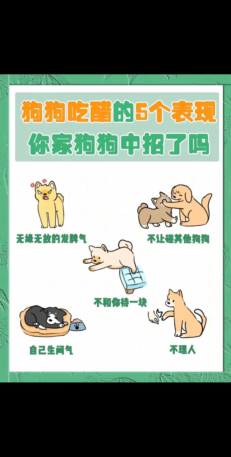 狗狗可以喝醋吗,狗狗可以喝醋吗为什么?-第2张图片-后鲨宠物 狗狗可以喝醋吗,狗狗可以喝醋吗为什么?-第2张图片-后鲨宠物