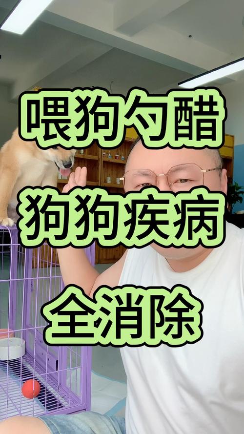 狗狗可以喝醋吗,狗狗可以喝醋吗为什么?-第4张图片-后鲨宠物 狗狗可以喝醋吗,狗狗可以喝醋吗为什么?-第4张图片-后鲨宠物