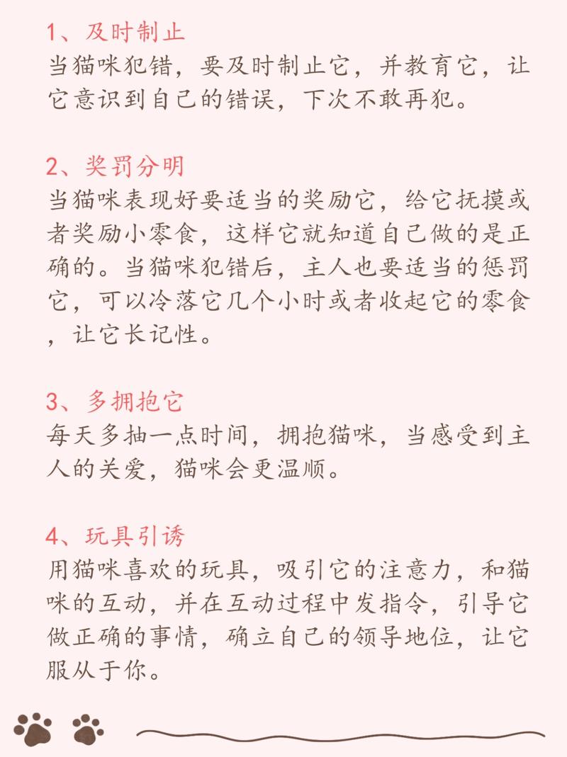 怎样让猫咪听话，怎样让猫咪听话懂事？