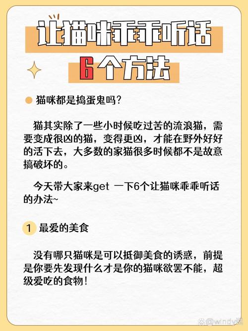 怎样让猫咪听话,怎样让猫咪听话懂事?-第4张图片-后鲨宠物 怎样让猫咪听话,怎样让猫咪听话懂事?-第4张图片-后鲨宠物